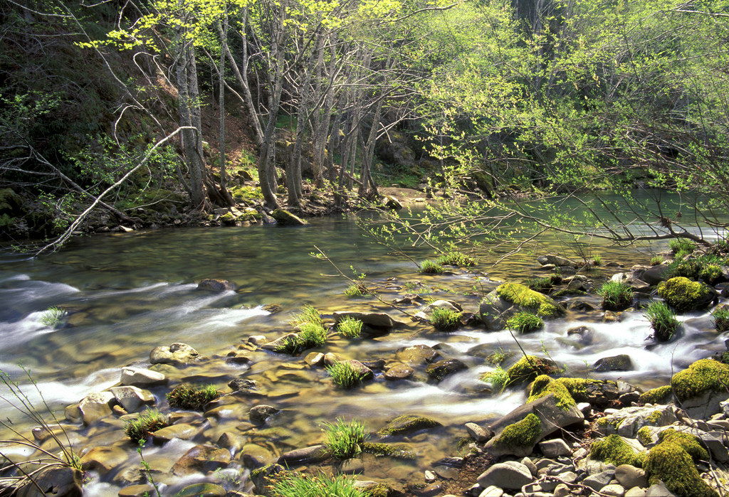 Scenic River