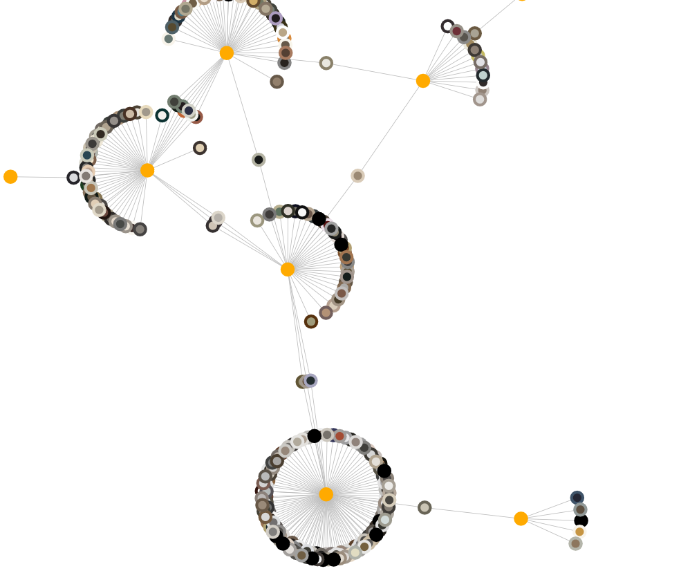 First draft of visualization; a network consisting of colored nodes, where nodes representing artworks are connected to exhibit nodes